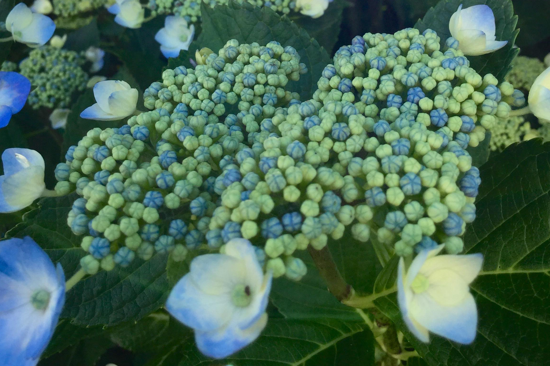 うつ-適応障害 パニック障害 脅迫性神経障害 パーソナリティ障害発達障害 愛着障害不安神経障害 依存性人格障害 自己愛性人格障害 回避性人格障害 統合失調症 双極性うつ障害 出社拒否 不登校いじめ モラスハラスメント パワハラ D V カサンドラ症候群 自律神経失調症 妄想性パーソナリティ障害 不眠症 演技性人格障害 離婚 結婚の問題 子育ての問題 依存症 リストカット 境界性人格障害 美濃市 関市 郡上市 可児市 各務原市 岐阜市 岐南町 瑞穂市 穂積 大垣 美濃加茂市 北方町 神戸町 養老町 海津市 高山市 S K Y P E オンラインカウンセリング ZOOM 国際結婚 YOUTUBE マインドフルネスと心理学の部屋K U M I マインドフルネスメンタルケアフォレスト 心理カウンセラー 森久美子コーチングヒプノセラピー 催眠療法来談者中心療法認知療法 おすすめ 人気 安い 親切 丁寧 信用 信頼 実績