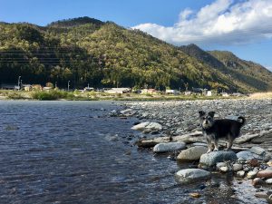 英語対応 セックスレス 帰国子女 名古屋 ストレス 悩み 体調 バランス うつ 適応障害 パニック 脅迫性 神経 パーソナリティ 発達 愛着 不安神経 依存性 自己愛 性 人格 回避性 統合失調症 双極性 出社拒否 不登校 いじめ モラス ハラスメント パワハラ D V カサンドラ 症候群 自律神経失調症 妄想性 パーソナリティ 不眠症 演技性 離婚 結婚 子育 リストカット 境界性 美濃市 関市 郡上市 可児市 各務原市 岐阜市 岐南町 瑞穂市 穂積 大垣 美濃加茂市 北方町 神戸町 養老町 海津市 高山市 SKYPE オンライン カウンセリング ZOOM 国際結婚 YOUTUBE 心理学 KUMI マインドフルネス メンタルケアフォレスト カウンセラー 森久美子 コーチング ヒプノ セラピー 催眠療法 来談者 中心 認知療法 おすすめ 人気 安い 親切 丁寧 信用 信頼 実績