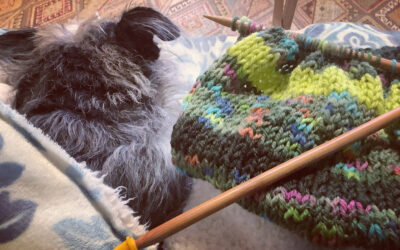 うつ-適応障害 パニック障害 脅迫性神経障害 パーソナリティ障害発達障害 愛着障害不安神経障害 依存性人格障害 自己愛性人格障害 回避性人格障害 統合失調症 双極性うつ障害 出社拒否 不登校いじめ モラスハラスメント パワハラ D V カサンドラ症候群 自律神経失調症 妄想性パーソナリティ障害 不眠症 演技性人格障害 離婚 結婚の問題 子育ての問題 依存症 リストカット 境界性人格障害 美濃市 関市 郡上市 可児市 各務原市 岐阜市 岐南町 瑞穂市 穂積 大垣 美濃加茂市 北方町 神戸町 養老町 海津市 高山市 S K Y P E オンラインカウンセリング ZOOM 国際結婚 YOUTUBE マインドフルネスと心理学の部屋K U M I マインドフルネスメンタルケアフォレスト 心理カウンセラー 森久美子コーチングヒプノセラピー 催眠療法来談者中心療法認知療法 おすすめ 人気 安い 親切 丁寧 信用 信頼 実績