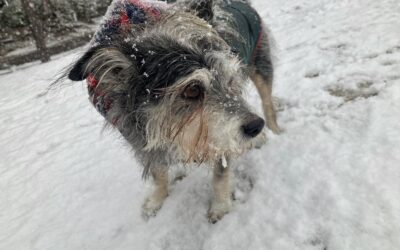 思春期 うつ　奇行 子供 非行 睡眠 障害 気力低下 うそ ひきこもり 不登校 いじめ HSP HSS HSC 悩み 結婚　セックスレス 帰国子女 名古屋 ストレス 悩み 体調 不調 バランス 適応障害 パニック 脅迫性 神経 パーソナリティ 発達 ASD ADHD 愛着 不安神経 依存性 自己愛性 人格 回避性 統合失調症 双極性鬱　出社拒否 モラス ハラスメント パワハラ DV カサンドラ 症候群 自律神経　失調症 妄想性 人格障害 不眠症 演技性 離婚 結婚 子育て リストカット 境界性 美濃市 関市 郡上市 可児市 各務原市 岐阜市 岐南町 瑞穂市 穂積 大垣 美濃加茂市 北方町 神戸町 養老町 海津市 高山市 名古屋市 多治見市 SKYPE オンライン カウンセリング ZOOM 国際結婚 YOUTUBE 心理学 KUMI マインドフルネス メンタルケアフォレスト カウンセラー 森久美子 コーチング ヒプノ セラピー 催眠療法 来談者 中心 認知療法 マインドフルネス おすすめ 人気 安い 親切 丁寧 信用 信頼 実績