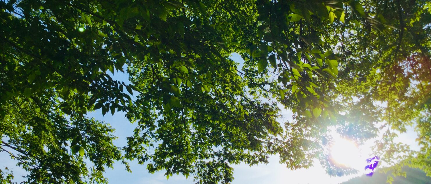 うつ-適応障害 パニック障害 脅迫性神経障害 パーソナリティ障害発達障害 愛着障害不安神経障害 依存性人格障害 自己愛性人格障害 回避性人格障害 統合失調症 双極性うつ障害 出社拒否 不登校いじめ モラスハラスメント パワハラ D V カサンドラ症候群 自律神経失調症 妄想性パーソナリティ障害 不眠症 演技性人格障害 離婚 結婚の問題 子育ての問題 依存症 リストカット 境界性人格障害 美濃市 関市 郡上市 可児市 各務原市 岐阜市 岐南町 瑞穂市 穂積 大垣 美濃加茂市 北方町 神戸町 養老町 海津市 高山市 S K Y P E オンラインカウンセリング ZOOM 国際結婚 YOUTUBE マインドフルネスと心理学の部屋K U M I マインドフルネスメンタルケアフォレスト 心理カウンセラー 森久美子コーチングヒプノセラピー 催眠療法来談者中心療法認知療法 おすすめ 人気 安い 親切 丁寧 信用 信頼 実績