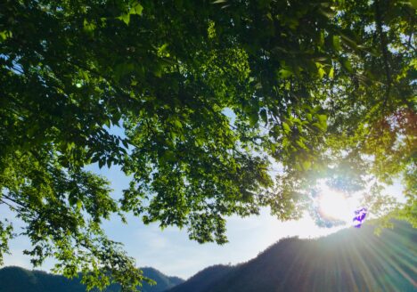 うつ-適応障害 パニック障害 脅迫性神経障害 パーソナリティ障害発達障害 愛着障害不安神経障害 依存性人格障害 自己愛性人格障害 回避性人格障害 統合失調症 双極性うつ障害 出社拒否 不登校いじめ モラスハラスメント パワハラ D V カサンドラ症候群 自律神経失調症 妄想性パーソナリティ障害 不眠症 演技性人格障害 離婚 結婚の問題 子育ての問題 依存症 リストカット 境界性人格障害 美濃市 関市 郡上市 可児市 各務原市 岐阜市 岐南町 瑞穂市 穂積 大垣 美濃加茂市 北方町 神戸町 養老町 海津市 高山市 S K Y P E オンラインカウンセリング ZOOM 国際結婚 YOUTUBE マインドフルネスと心理学の部屋K U M I マインドフルネスメンタルケアフォレスト 心理カウンセラー 森久美子コーチングヒプノセラピー 催眠療法来談者中心療法認知療法 おすすめ 人気 安い 親切 丁寧 信用 信頼 実績