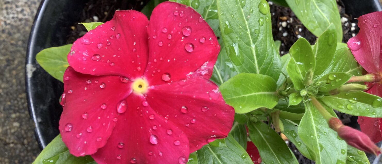 思春期 うつ　奇行 子供 非行 睡眠 障害 気力低下 うそ ひきこもり 不登校 いじめ HSP HSS HSC 悩み 結婚　セックスレス 帰国子女 名古屋 ストレス 悩み 体調 不調 バランス 適応障害 パニック 脅迫性 神経 パーソナリティ 発達 ASD ADHD 愛着 不安神経 依存性 自己愛性 人格 回避性 統合失調症 双極性鬱　出社拒否 モラス ハラスメント パワハラ DV カサンドラ 症候群 自律神経失調症 妄想性 パーソナリティ 不眠症 演技性 離婚 結婚 子育て リストカット 境界性 美濃市 関市 郡上市 可児市 各務原市 岐阜市 岐南町 瑞穂市 穂積 大垣 美濃加茂市 北方町 神戸町 養老町 海津市 高山市 名古屋市 多治見市 SKYPE オンライン カウンセリング ZOOM 国際結婚 YOUTUBE 心理学 KUMI マインドフルネス メンタルケアフォレスト カウンセラー 森久美子 コーチング ヒプノ セラピー 催眠療法 来談者 中心 認知療法 マインドフルネス おすすめ 人気 安い 親切 丁寧 信用 信頼 実績