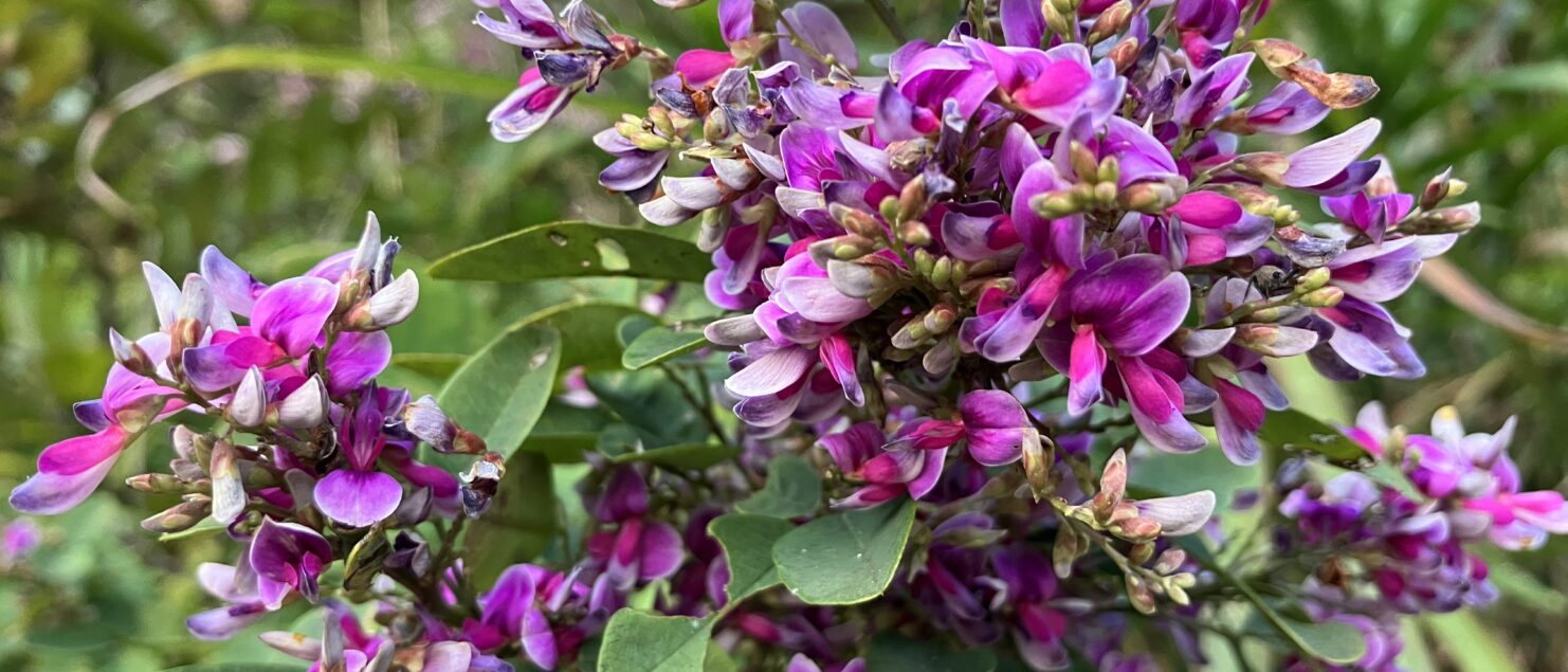 思春期 うつ　奇行 子供 非行 睡眠 障害 気力低下 うそ ひきこもり 不登校 いじめ HSP HSS HSC 悩み 結婚　セックスレス 帰国子女 名古屋 ストレス 悩み 体調 不調 バランス 適応障害 パニック 脅迫性 神経 パーソナリティ 発達 ASD ADHD 愛着 不安神経 依存性 自己愛性 人格 回避性 統合失調症 双極性鬱　出社拒否 モラス ハラスメント パワハラ DV カサンドラ 症候群 自律神経失調症 妄想性 パーソナリティ 不眠症 演技性 離婚 結婚 子育て リストカット 境界性 美濃市 関市 郡上市 可児市 各務原市 岐阜市 岐南町 瑞穂市 穂積 大垣 美濃加茂市 北方町 神戸町 養老町 海津市 高山市 名古屋市 多治見市 SKYPE オンライン カウンセリング ZOOM 国際結婚 YOUTUBE 心理学 KUMI マインドフルネス メンタルケアフォレスト カウンセラー 森久美子 コーチング ヒプノ セラピー 催眠療法 来談者 中心 認知療法 マインドフルネス おすすめ 人気 安い 親切 丁寧 信用 信頼 実績