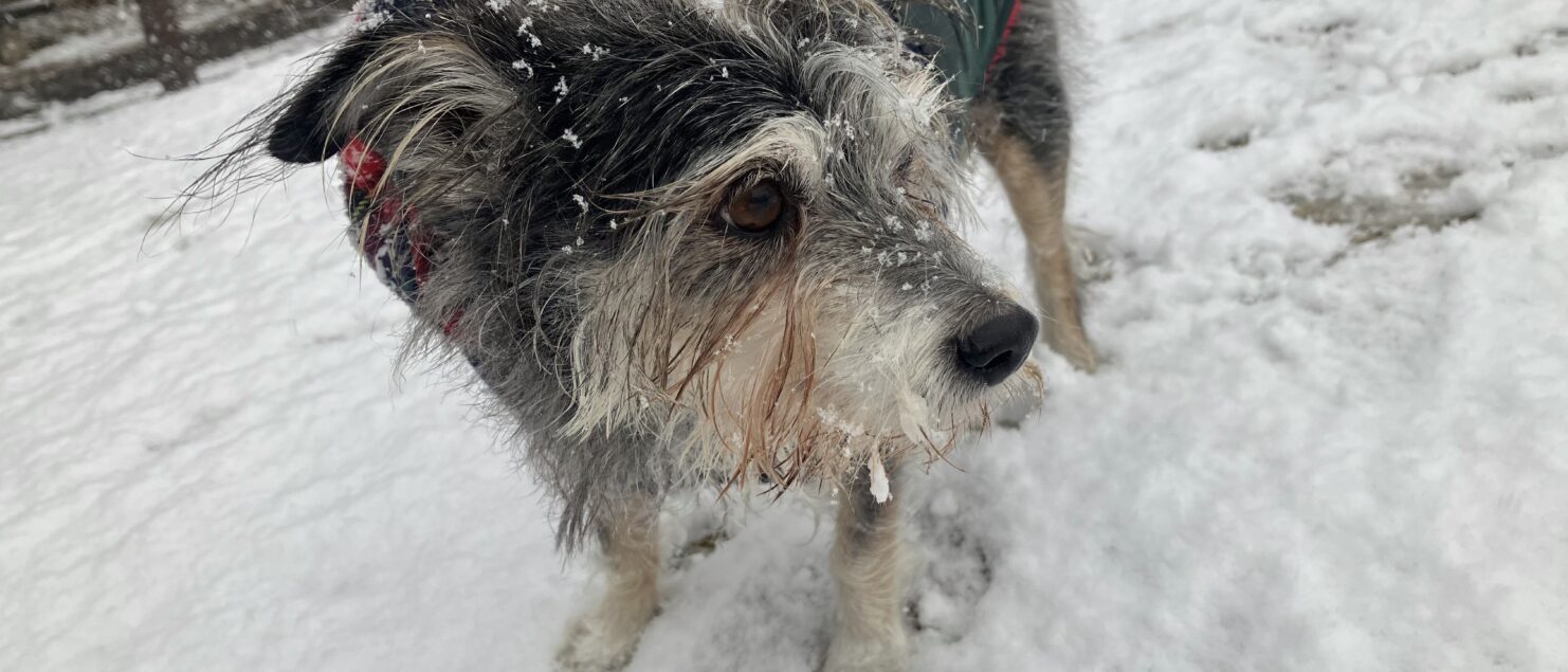 思春期 うつ　奇行 子供 非行 睡眠 障害 気力低下 うそ ひきこもり 不登校 いじめ HSP HSS HSC 悩み 結婚　セックスレス 帰国子女 名古屋 ストレス 悩み 体調 不調 バランス 適応障害 パニック 脅迫性 神経 パーソナリティ 発達 ASD ADHD 愛着 不安神経 依存性 自己愛性 人格 回避性 統合失調症 双極性鬱　出社拒否 モラス ハラスメント パワハラ DV カサンドラ 症候群 自律神経　失調症 妄想性 人格障害 不眠症 演技性 離婚 結婚 子育て リストカット 境界性 美濃市 関市 郡上市 可児市 各務原市 岐阜市 岐南町 瑞穂市 穂積 大垣 美濃加茂市 北方町 神戸町 養老町 海津市 高山市 名古屋市 多治見市 SKYPE オンライン カウンセリング ZOOM 国際結婚 YOUTUBE 心理学 KUMI マインドフルネス メンタルケアフォレスト カウンセラー 森久美子 コーチング ヒプノ セラピー 催眠療法 来談者 中心 認知療法 マインドフルネス おすすめ 人気 安い 親切 丁寧 信用 信頼 実績