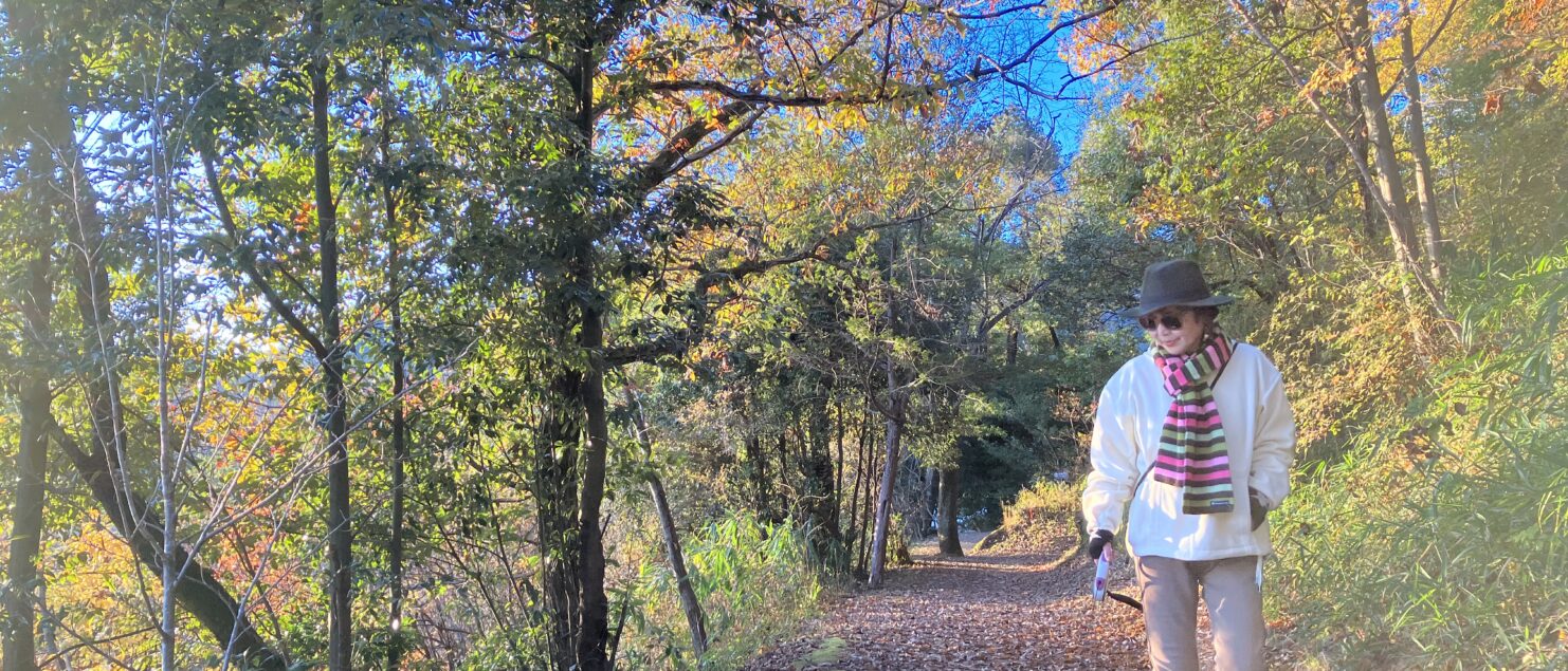 思春期 うつ　奇行 子供 非行 睡眠 障害 気力低下 うそ ひきこもり 不登校 いじめ HSP HSS HSC 悩み 結婚　セックスレス 帰国子女 名古屋 ストレス 悩み 体調 不調 バランス 適応障害 パニック 脅迫性 神経 パーソナリティ 発達 ASD ADHD 愛着 不安神経 依存性 自己愛性 人格 回避性 統合失調症 双極性鬱　出社拒否 モラス ハラスメント パワハラ DV カサンドラ 症候群 自律神経　失調症 妄想性 人格障害 不眠症 演技性 離婚 結婚 子育て リストカット 境界性 美濃市 関市 郡上市 可児市 各務原市 岐阜市 岐南町 瑞穂市 穂積 大垣 美濃加茂市 北方町 神戸町 養老町 海津市 高山市 名古屋市 多治見市 SKYPE オンライン カウンセリング ZOOM 国際結婚 YOUTUBE 心理学 KUMI マインドフルネス メンタルケアフォレスト カウンセラー 森久美子 コーチング ヒプノ セラピー 催眠療法 来談者 中心 認知療法 マインドフルネス おすすめ 人気 安い 親切 丁寧 信用 信頼 実績