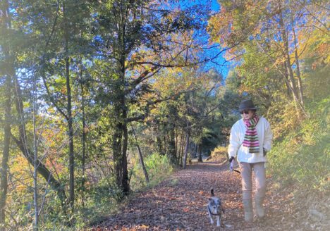 思春期 うつ　奇行 子供 非行 睡眠 障害 気力低下 うそ ひきこもり 不登校 いじめ HSP HSS HSC 悩み 結婚　セックスレス 帰国子女 名古屋 ストレス 悩み 体調 不調 バランス 適応障害 パニック 脅迫性 神経 パーソナリティ 発達 ASD ADHD 愛着 不安神経 依存性 自己愛性 人格 回避性 統合失調症 双極性鬱　出社拒否 モラス ハラスメント パワハラ DV カサンドラ 症候群 自律神経　失調症 妄想性 人格障害 不眠症 演技性 離婚 結婚 子育て リストカット 境界性 美濃市 関市 郡上市 可児市 各務原市 岐阜市 岐南町 瑞穂市 穂積 大垣 美濃加茂市 北方町 神戸町 養老町 海津市 高山市 名古屋市 多治見市 SKYPE オンライン カウンセリング ZOOM 国際結婚 YOUTUBE 心理学 KUMI マインドフルネス メンタルケアフォレスト カウンセラー 森久美子 コーチング ヒプノ セラピー 催眠療法 来談者 中心 認知療法 マインドフルネス おすすめ 人気 安い 親切 丁寧 信用 信頼 実績